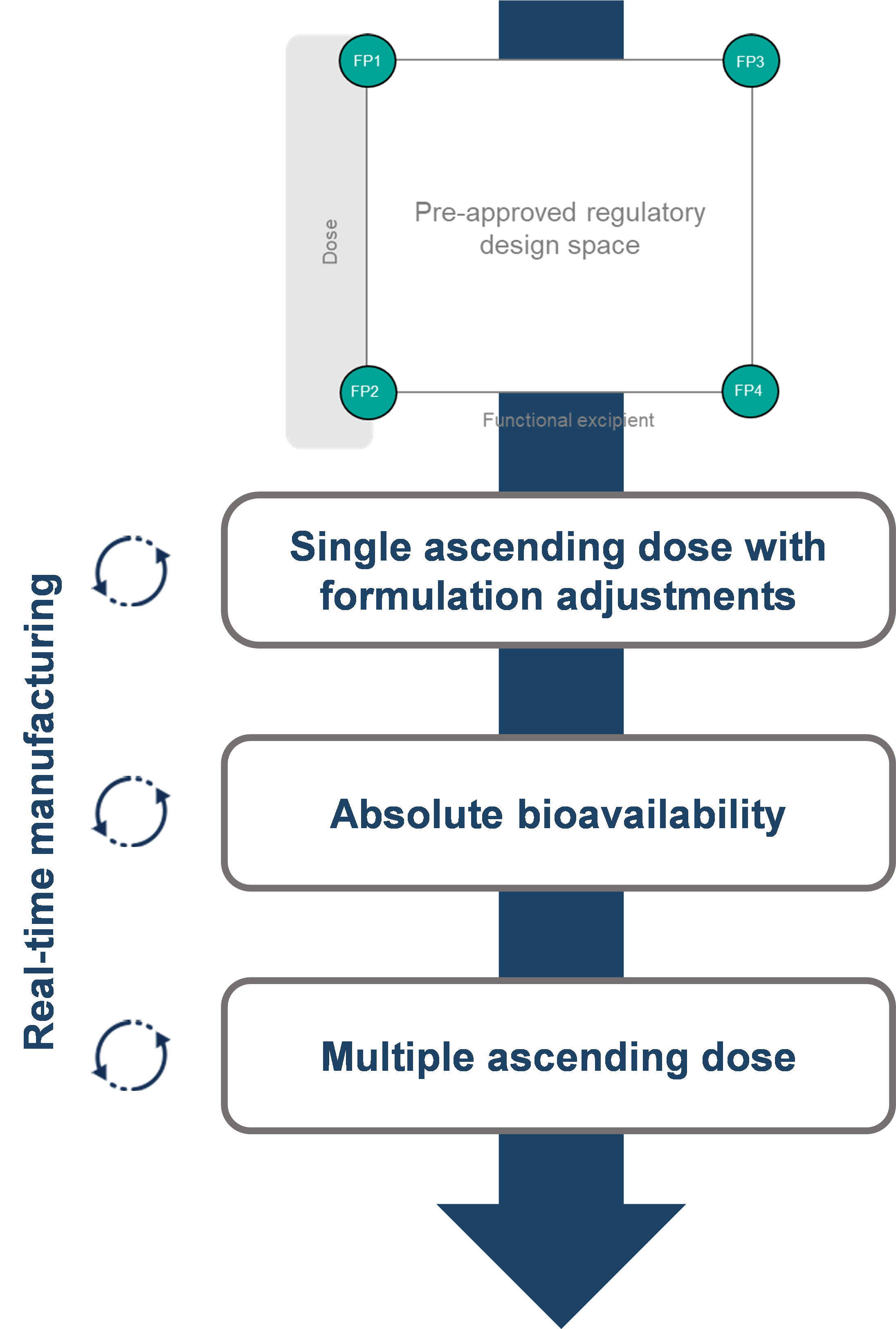 Figure 1: Clinical Trial Design for an Oral Peptide First-in-Human Study