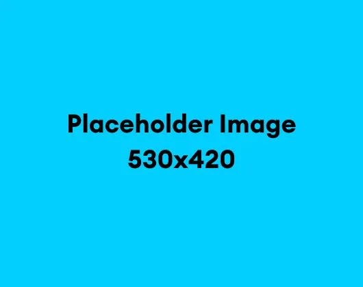 Placeholder Image 530x420.jpg