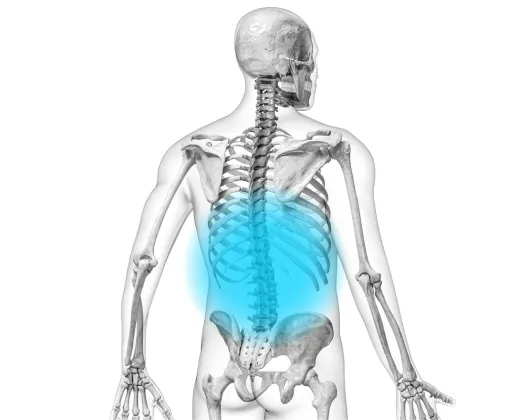 Grayscale photo of a skeleton, medical illustration with back facing, blue dot on spine area