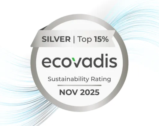 Ecovadis silver